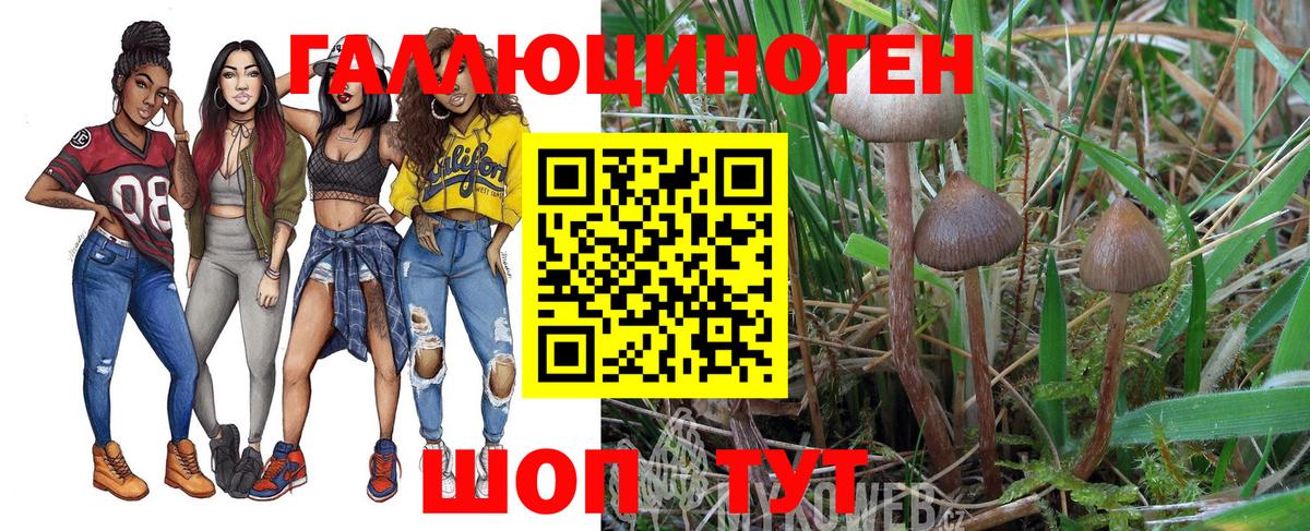 Славгород  Галлюциногенные грибы ЛСД  Вход с VPN  дарнет шоп  Псилоцибиновые грибы MAGIC MUSHROOMS 