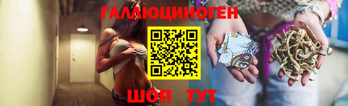 Псилоцибиновые грибы ЛСД Славгород